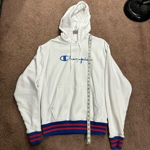 reverse weave embroidered champion hoodie